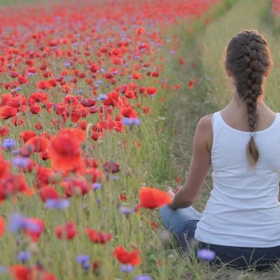 Yoga In The Flower Field